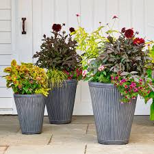 The Ultimate Guide To Container Gardening