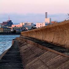 They depict the horrible reality of the tsunami disaster. Taming The Tsunami Investigating Different Structures To Reduce Tsunami Damage Science Project