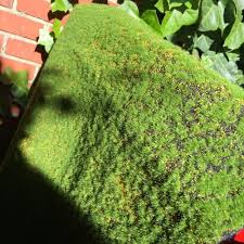 Artificial Moss Fake Green Plants Faux