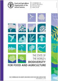 biodiversity for food and agriculture