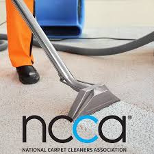 professional carpet cleaning worsley