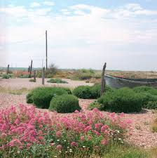 derek jarman s garden