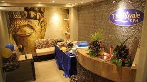 the top spa franchises in the