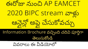 Registration and payment of fee. Ap Eamcet 2020 Bipc Counselling Dates Ap Eamcet 2020 Bipc Stream Counselling Dates Ap Eamcet Youtube