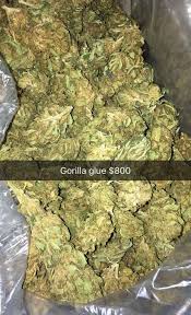 Gorilla Glue - 420 Ganja Shoppe