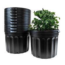 black plastic 7 gal nursery pots