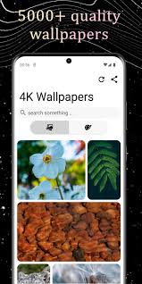 themes for galaxy 4k wallpaper apk for