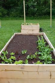 Build A Raised Garden Bed In