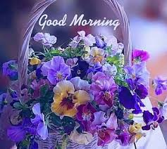 good morning whatsapp video hd