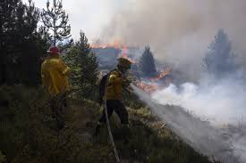 Luego de los devastadores incendios del 2015, continúan los focos intencionales. Patagonia Un Incendio Forestal En Bariloche Arrasa Varias Hectareas Y Esta Fuera De Control Argentina Forestal