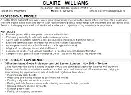 Sample Cv For Personal Assistant