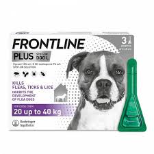 frontline plus flea tick prevention