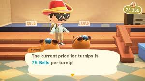 How To Maximize Animal Crossing New