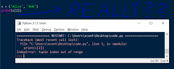 python indexerror list index out of