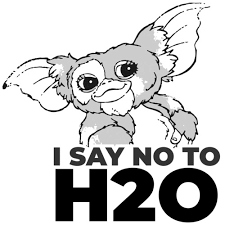 The color of most get access to gizmos today! I Say No To H20 Gizmo Gremlins 80 S T Shirt
