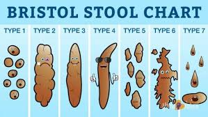 Bristol Stool Chart What Your Poo Says The Whoot Light