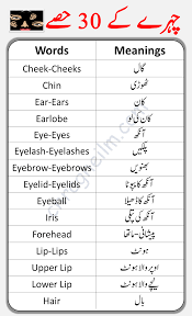 parts of face in english and urdu pdf