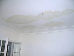 i see a water stain on my ceiling do