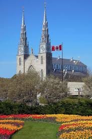 Notre Dame Cathedral Ottawa Canada