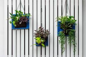 Diy Living Wall Frames Using Air Plants