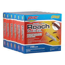 pic boric acid roach in the