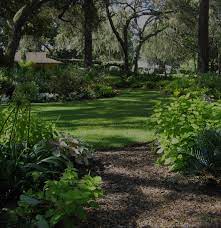 What grass zone do you live in? Florida Friendly Landscaping Program University Of Florida Institute Of Food And Agricultural Sciences Uf Ifas