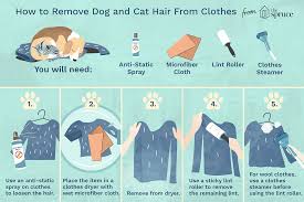 remove dog and cat fur from clothes