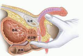 空間認識能力と、絶対に外さない前立腺マッサージ&亀頭責めは、前立腺開発の必須科目！の巻 : Version up☆Ｄの世界☆