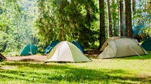 Rocky neck state park camp near the sandy shores of rocky neck in one of the 160 wooded and open sites. Several Ct Parks Forests Campgrounds Reopen After Isaias Fox61 Com