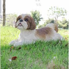 Shih Tzu Garden Statue Dog Sculpture