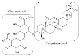 triterpenic saponin glycyrrhizic acid