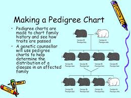 Making A Pedigree Chart Ppt Download