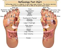 Reflexology Chart Or Map Is A Diagram Used To Show Body
