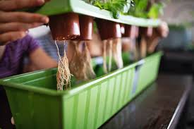 diy hydroponics 101 how to grow