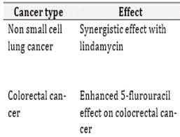 chloroquine as an anticancer agent