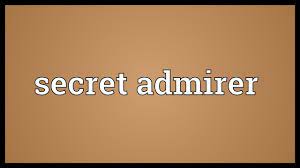secret admirer mean on insram