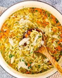 homemade en noodle soup jo cooks