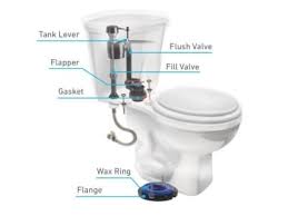 Toilet Anatomy And Common Problems