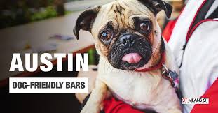 austin dog friendly bars