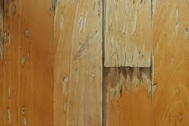 water damage repair hardwood flooring