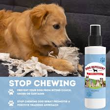dog repellent for couch stop chewing