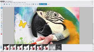 photo frame editor software and apps