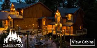 pigeon forge cabin als pet friendly