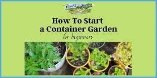 Container Garden For Beginners