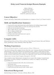 Professional Summary In Resume Resume Synopsis Examples Professional