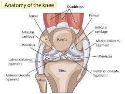 what does a knee ligament injury feel