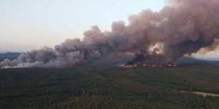 Marmaris'teki orman yangını 4. gününde: Marmaris Belediye Başkanı Mehmet  Oktay: Yangın kontrol altına alındı