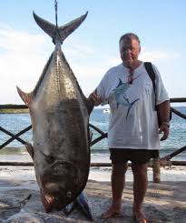 Giant Trevally That Dragged A Man Into Deep Sea My Views