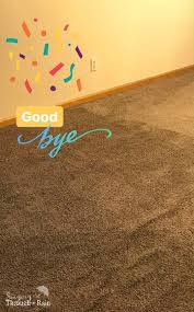 the best hypoallergenic carpet for