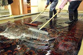 oriental rug cleaners in sw florida